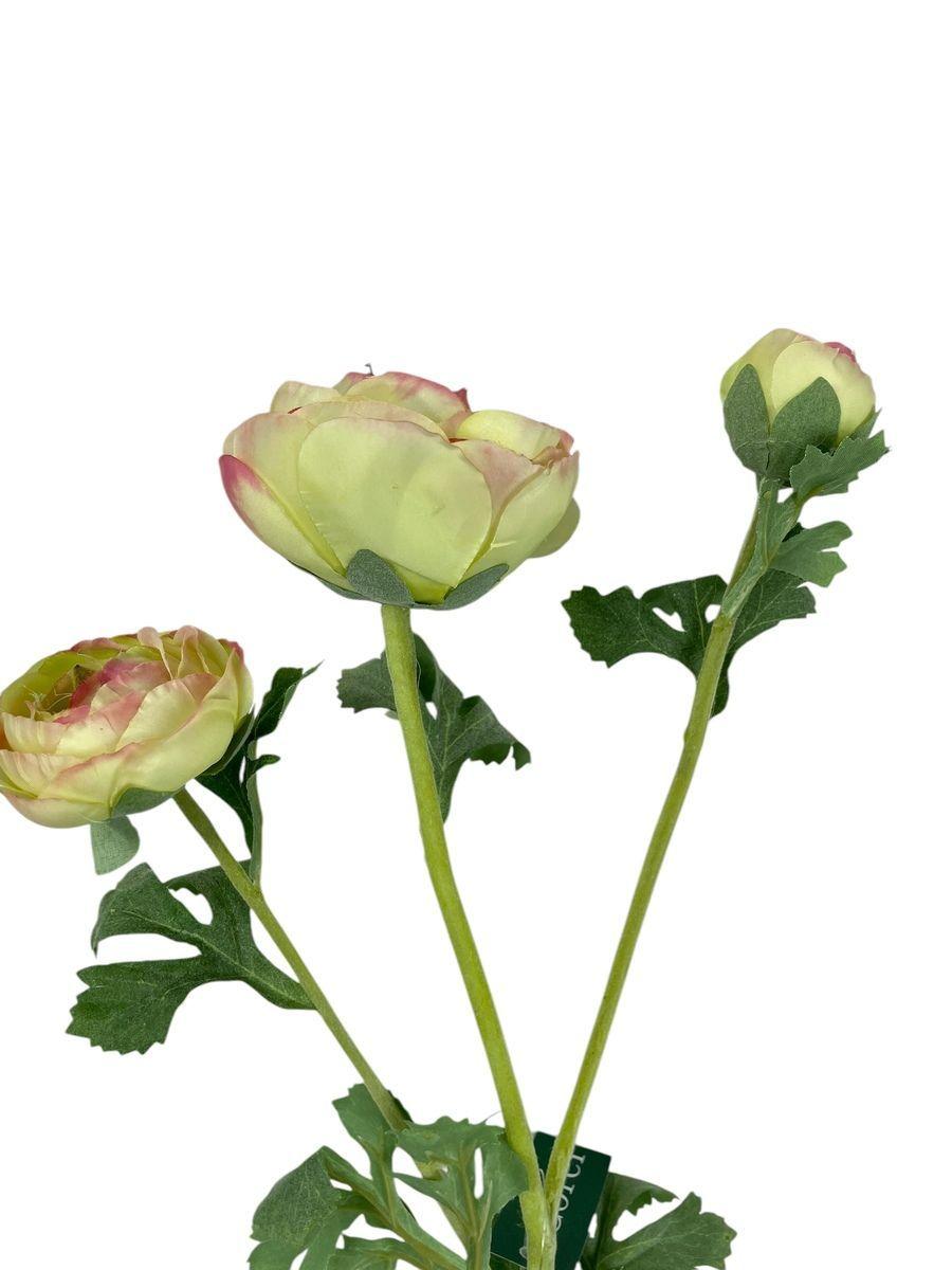 Ranúnculo Verde Rosa 73cm Con Textura Realista-2