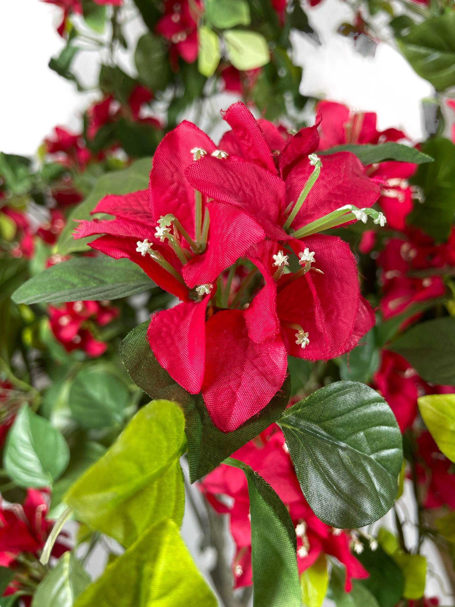 Planta Decorativa Arbol De Buganvilla 150Cm-2