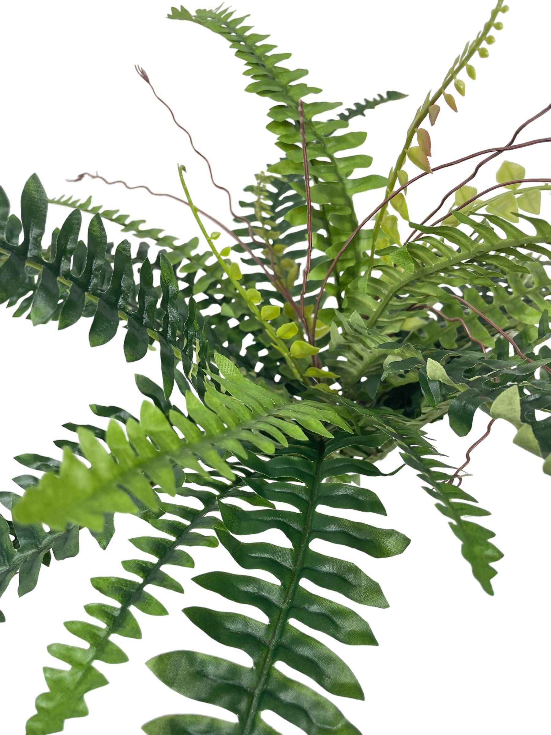 Planta Decorativa Helecho Boston 50Cm-2