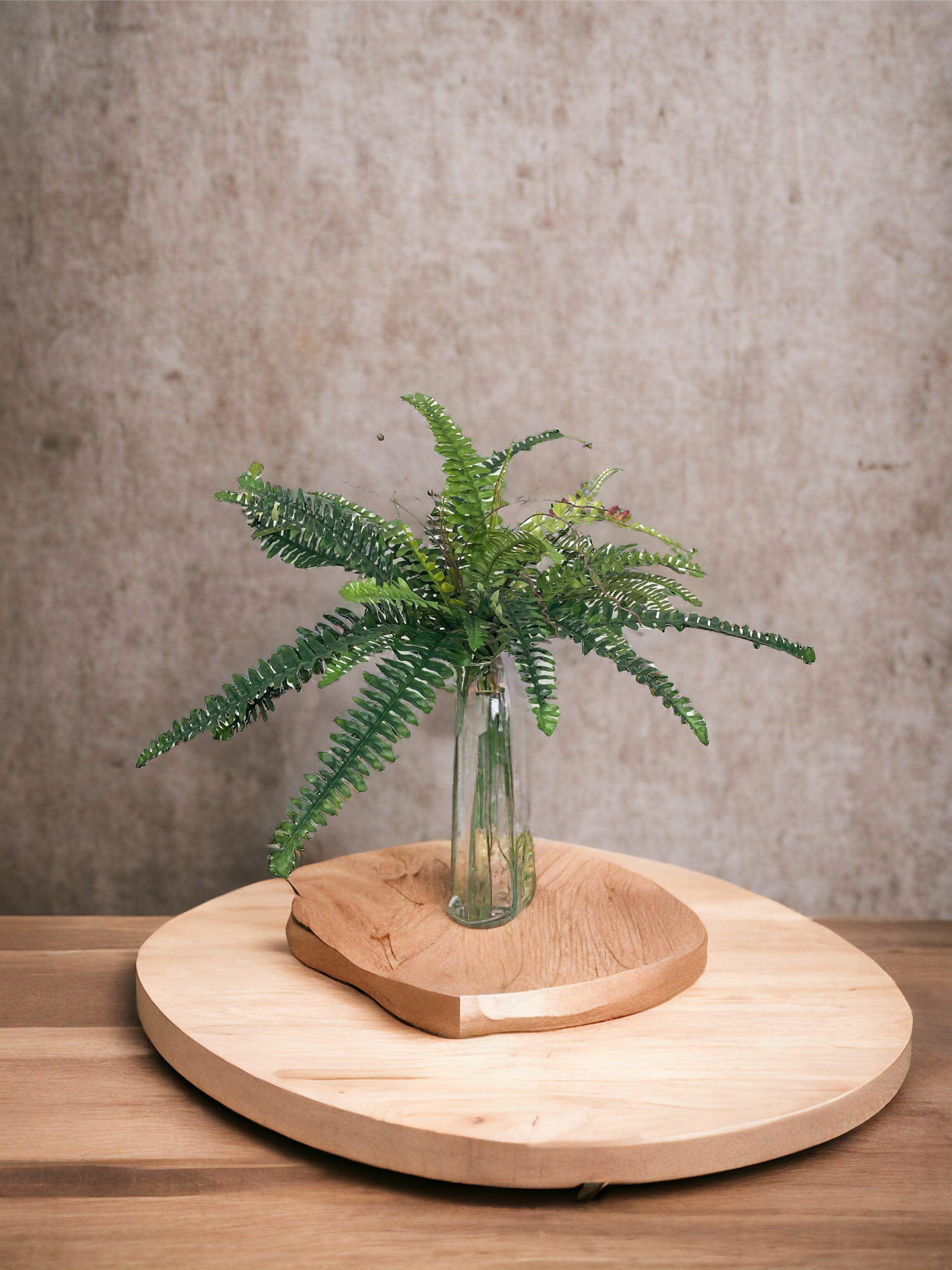 Planta Decorativa Helecho Boston 50Cm-3