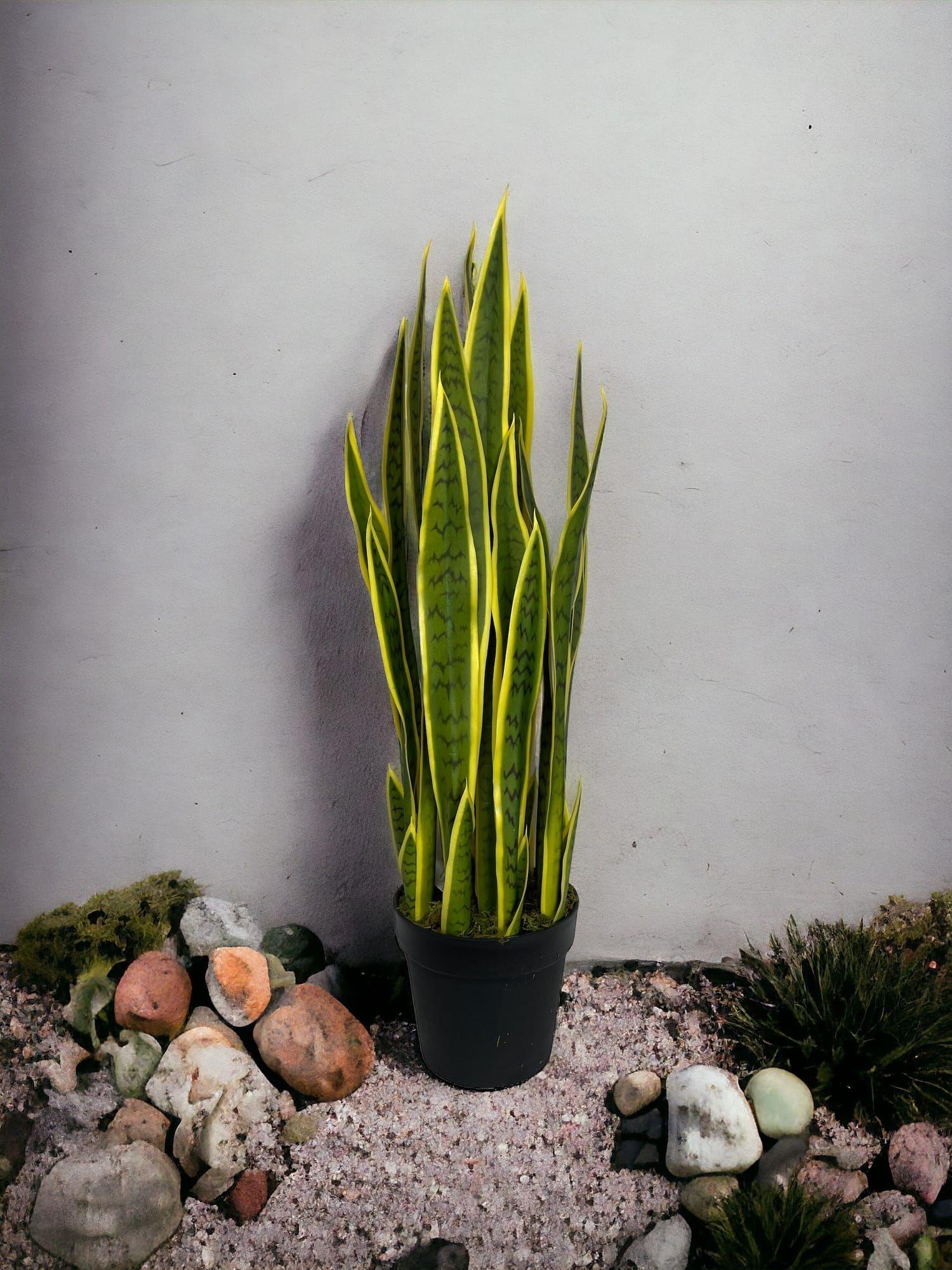 Sanseviera Amarilla de 90cm Artificial | Estilo Natural para Interiores y Vitrinas-3