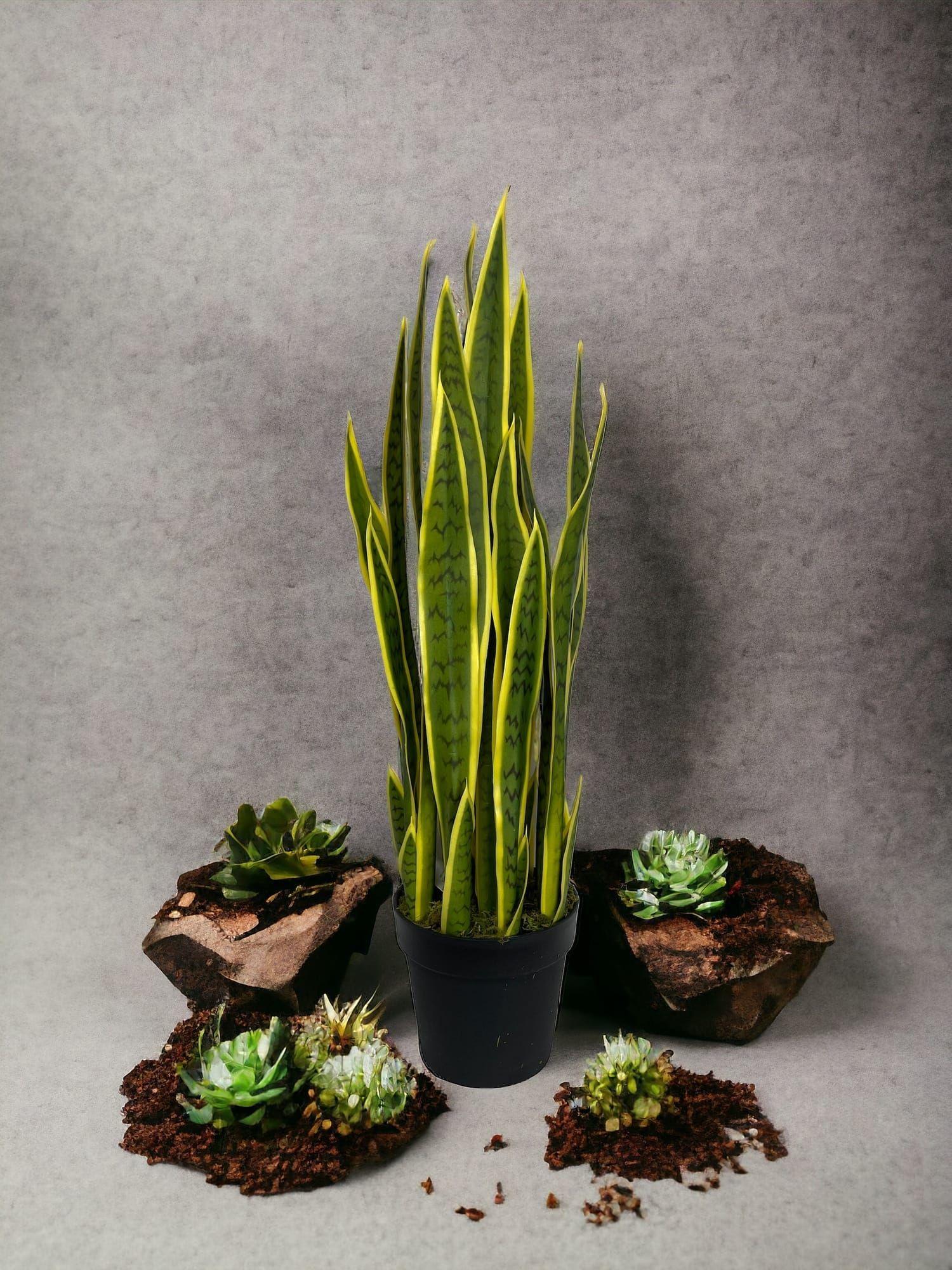 Sanseviera Amarilla de 90cm Artificial | Estilo Natural para Interiores y Vitrinas-4