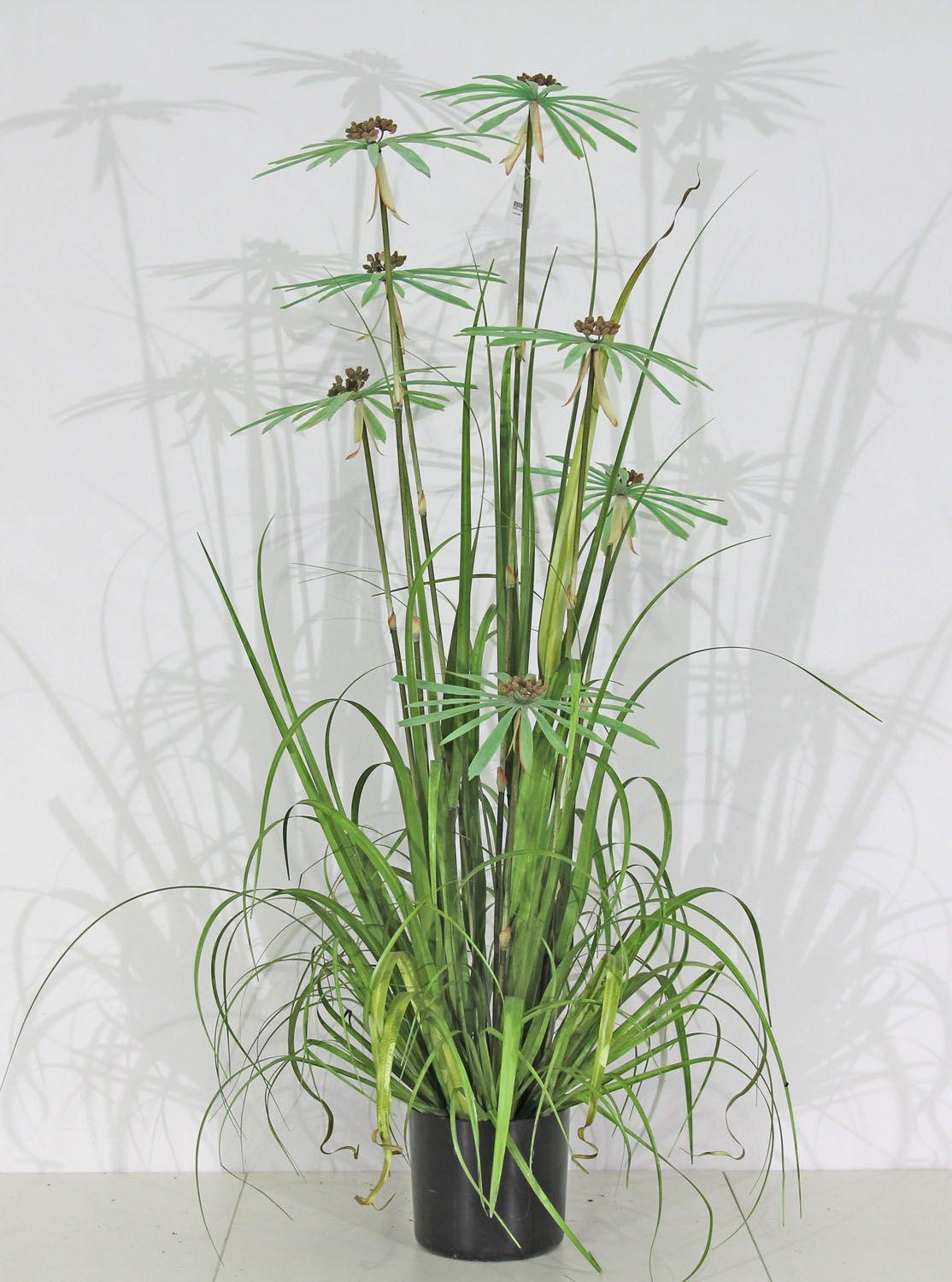 Pasto Con Papiro 180cm-0