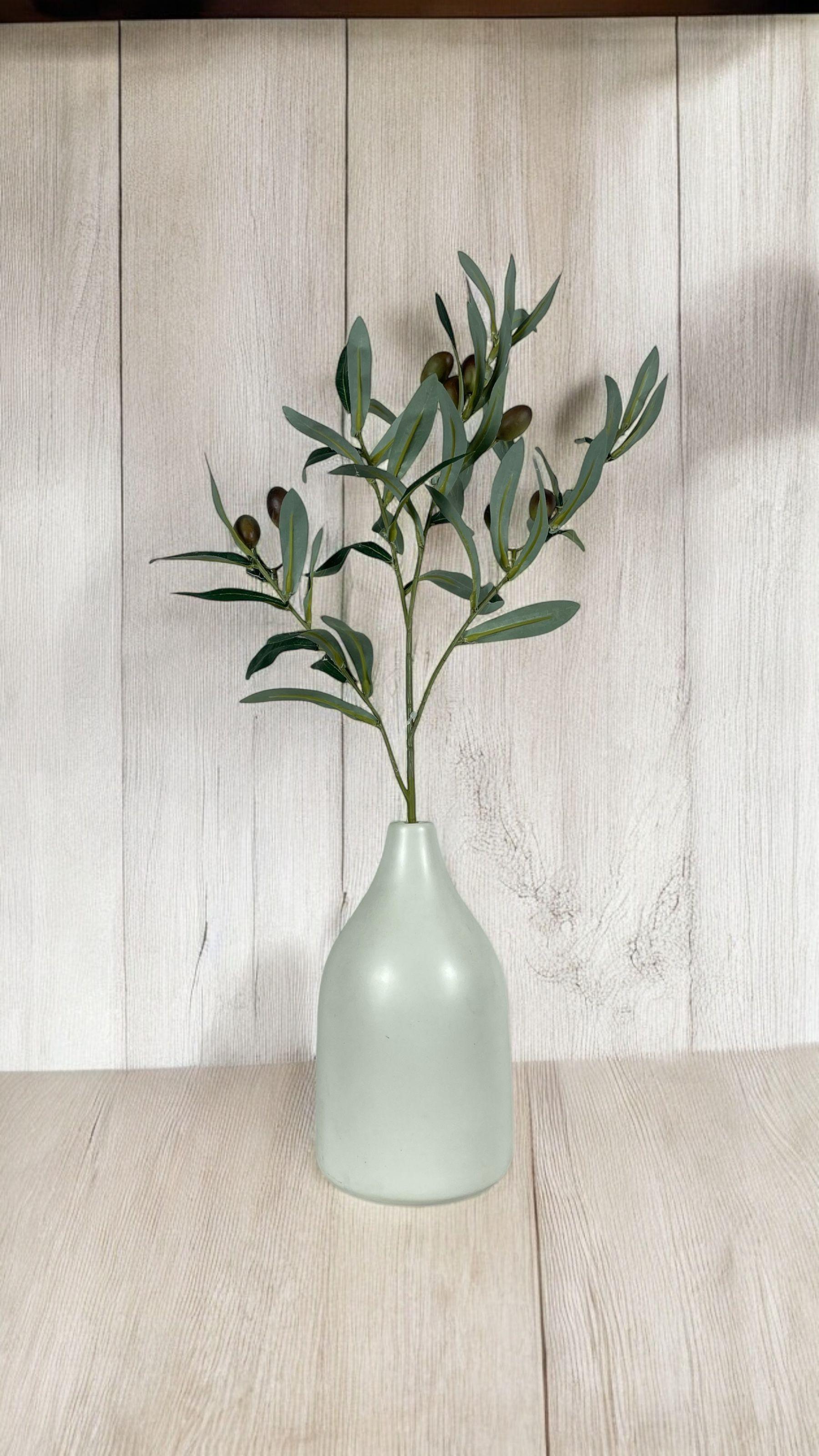 Rama De Olivo 74cm-2
