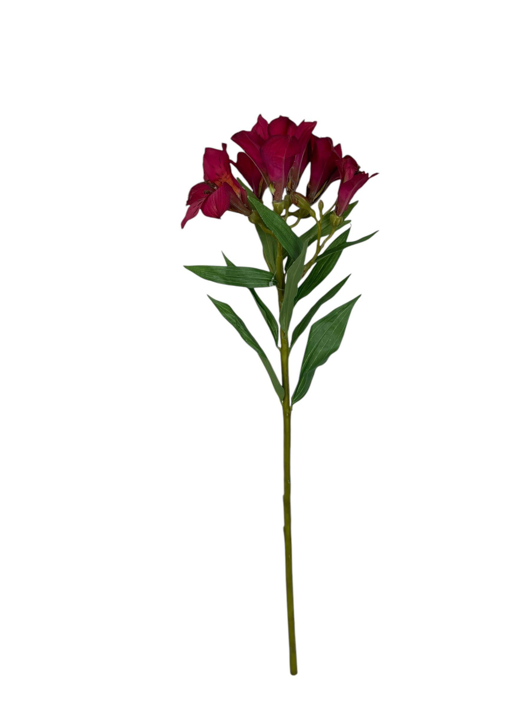 Flor Astromelia Fucsia 63cm-0