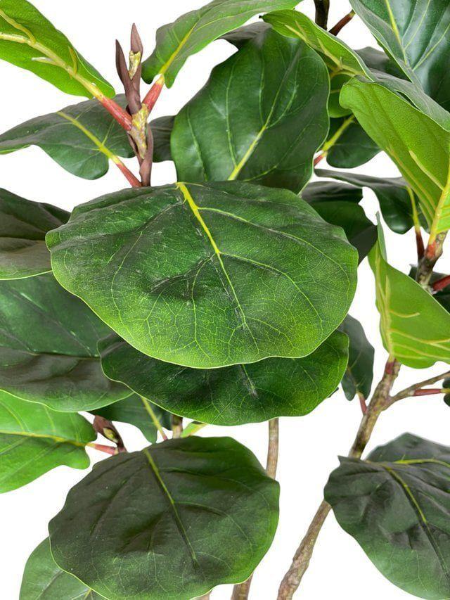 Ficus Lyrata RealTouch 183cm Artificial | Estilo Natural para Interiores y Vitrinas-2