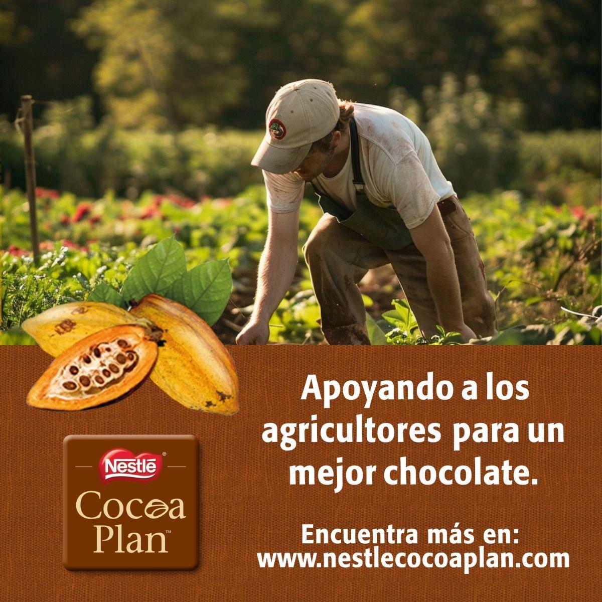 Chocolate Sahne Nuss 14g Caja 20 unidades-5