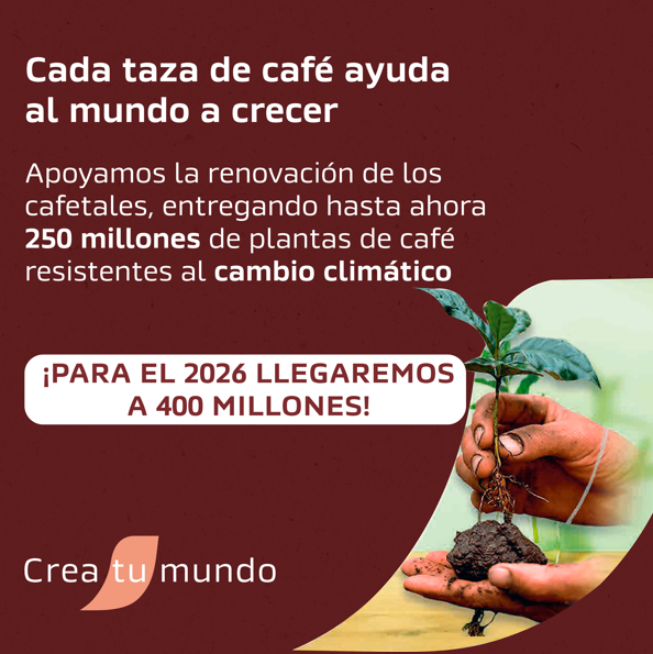 Café NESCAFÉ® Tradición 400g Pack X4-3