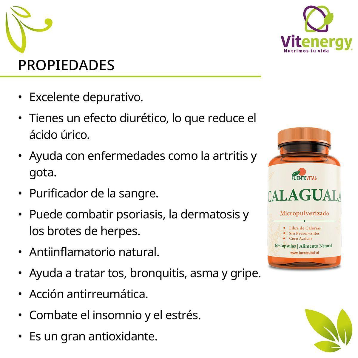  calaguala peruana - 120 capsulas vegetales - depurador-2