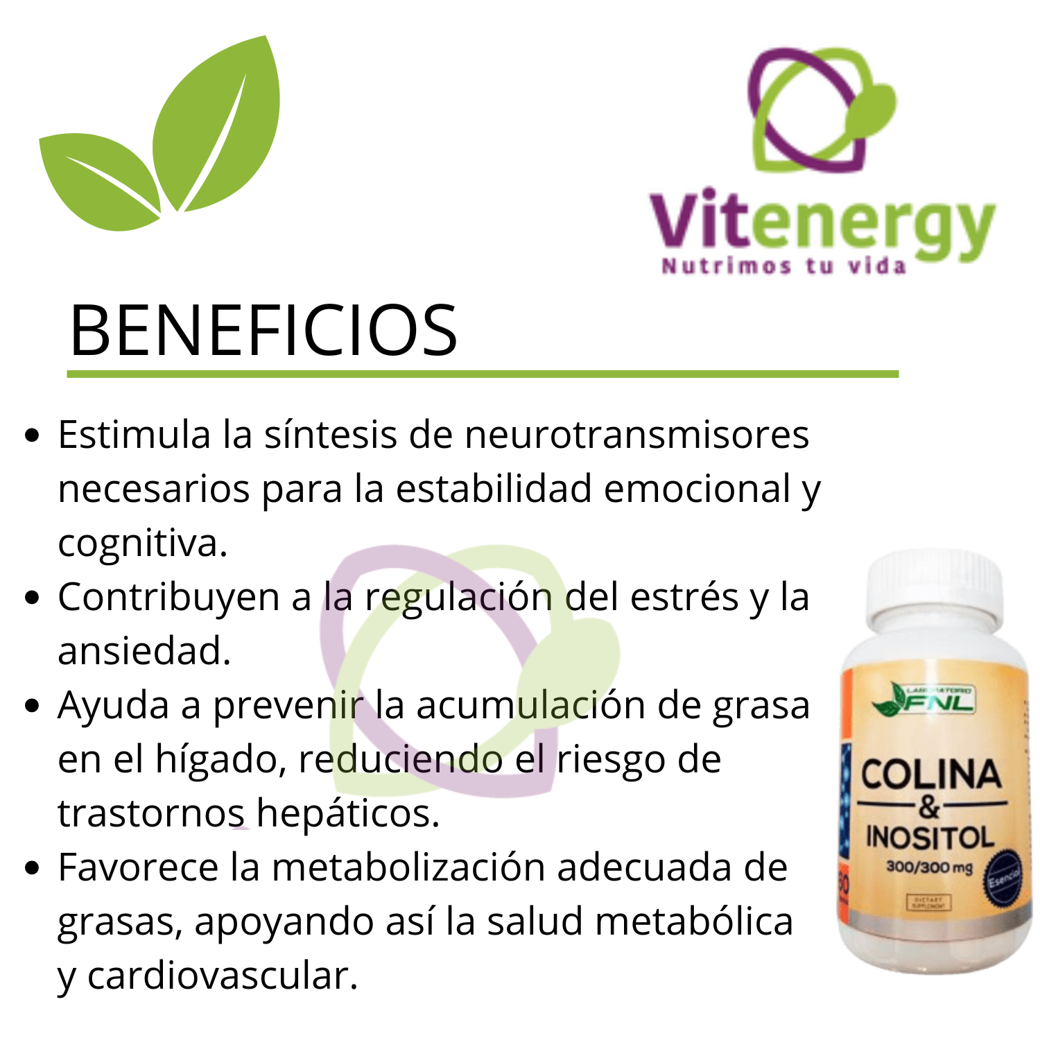 COLINA + INOSITOL CÁPSULAS - 300mg PACK X3-1