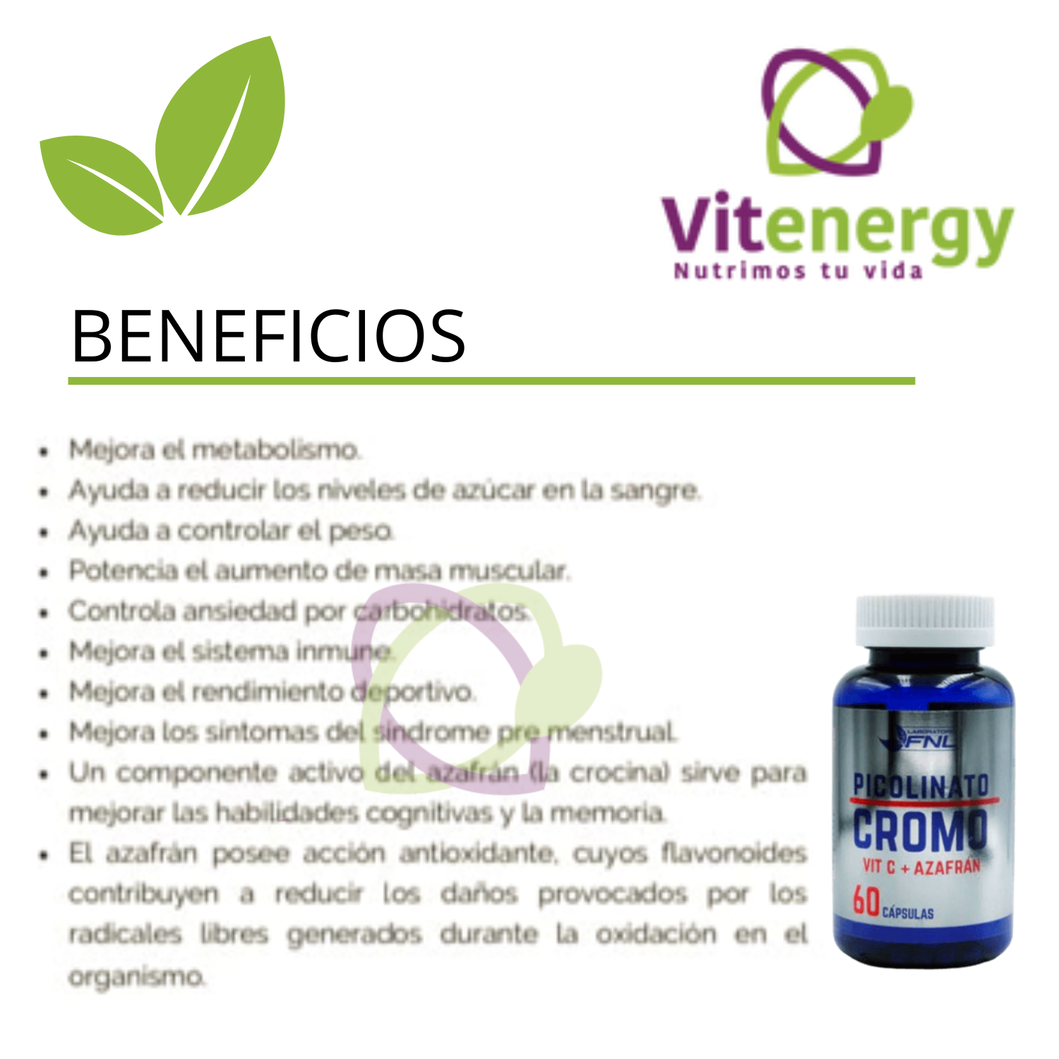 PICOLINATO CROMO + VIT C + AZAFRÁN - 60 CÁPSULAS OFERTA-1