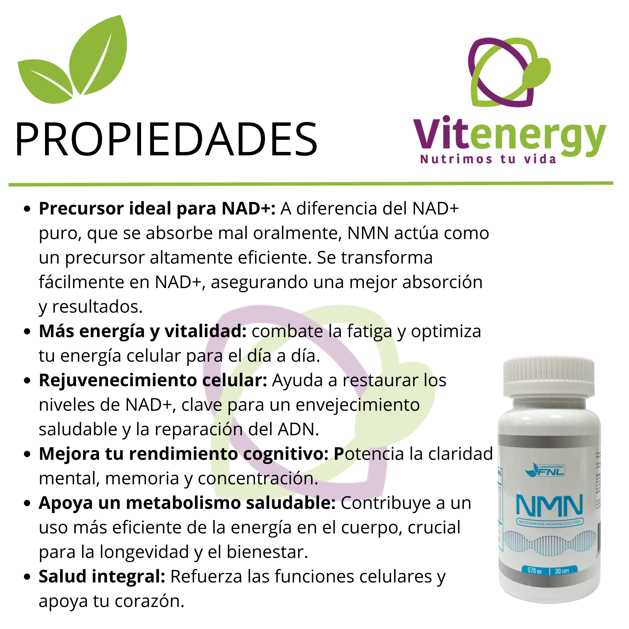 NMN EL MEJOR PRECURSOR DE NAD+ FNL 570 MG 30 CÁPSULAS-1