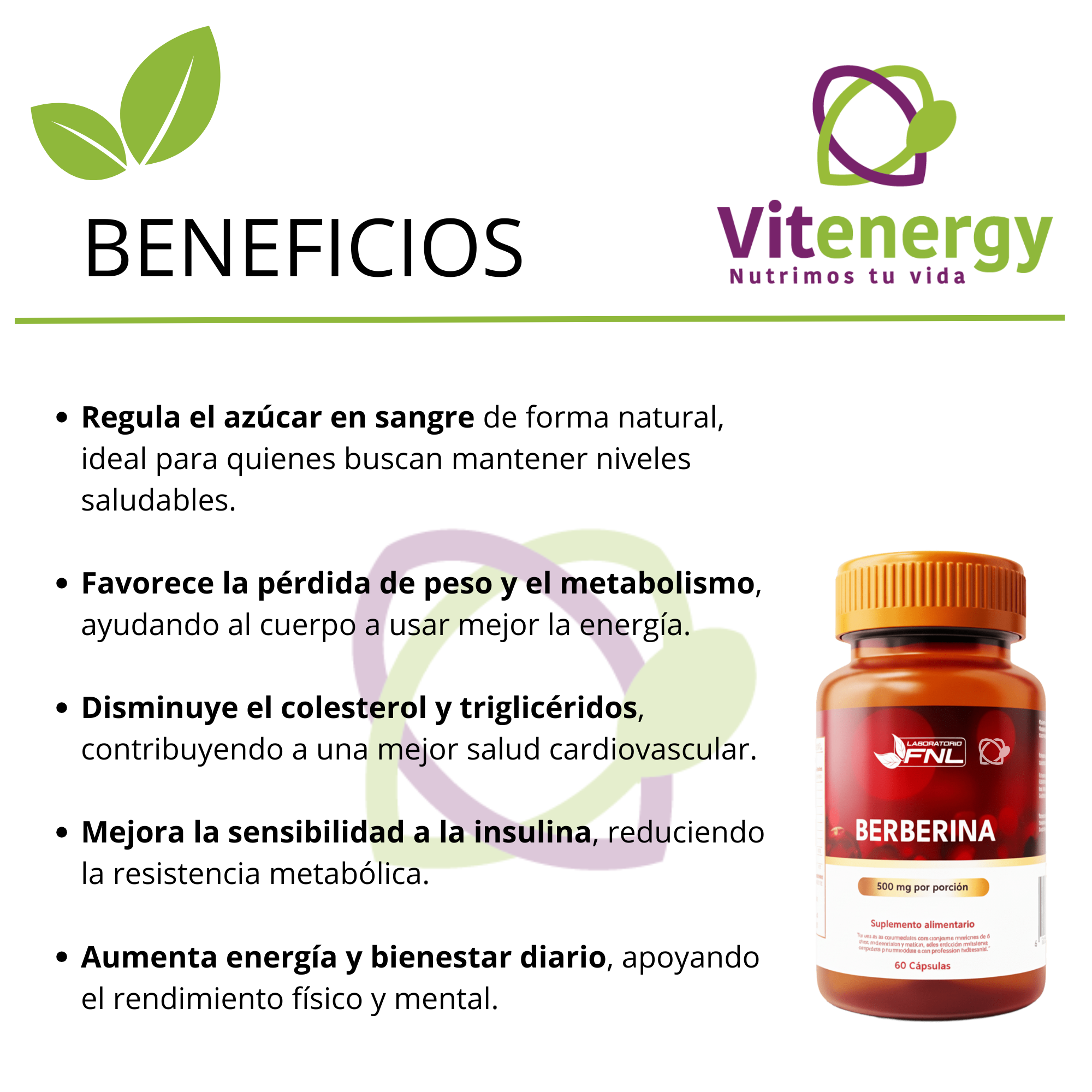 BERBERINA CAPSULAS APOYO CONTROL DE GLUCOSA Y METABOLISMO-2