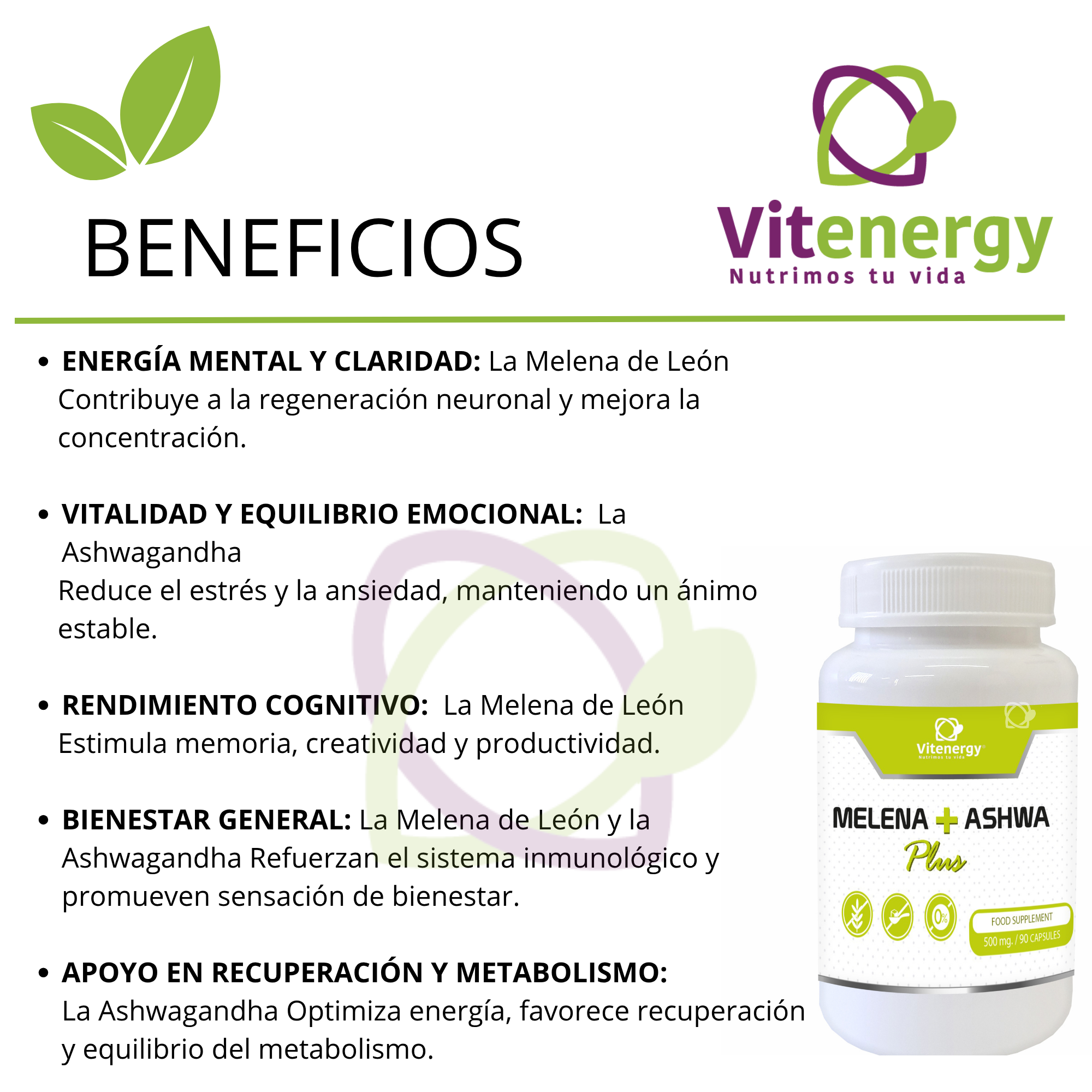 MELENA DE LEÓN + ASHWAGANDHA x3-2