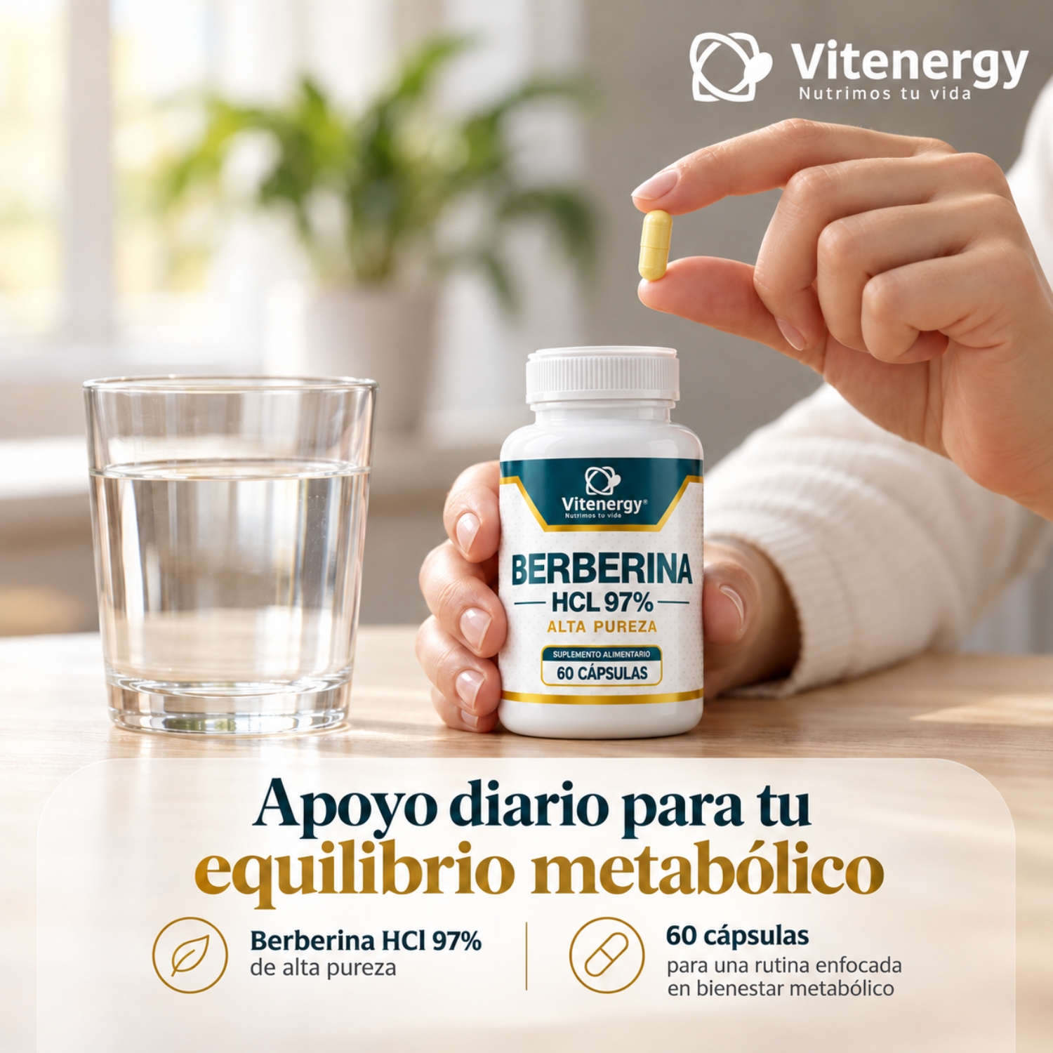 BERBERINA CAPSULAS ALTA PUREZA HCL 97% 500 mg. PACK X3-3