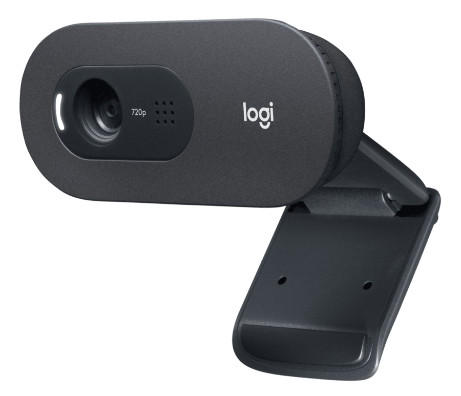 Cámara Web Logitech C505 HD-0