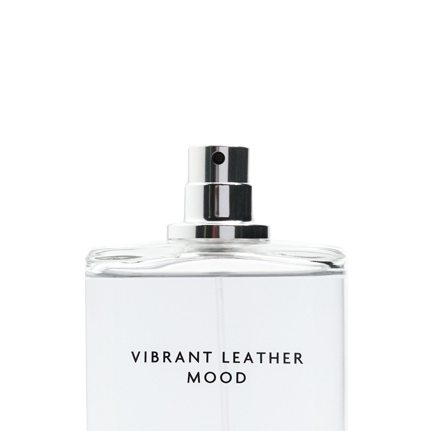 Perfume Zara. Vibrant Leather Mood. EDP 100ml-2