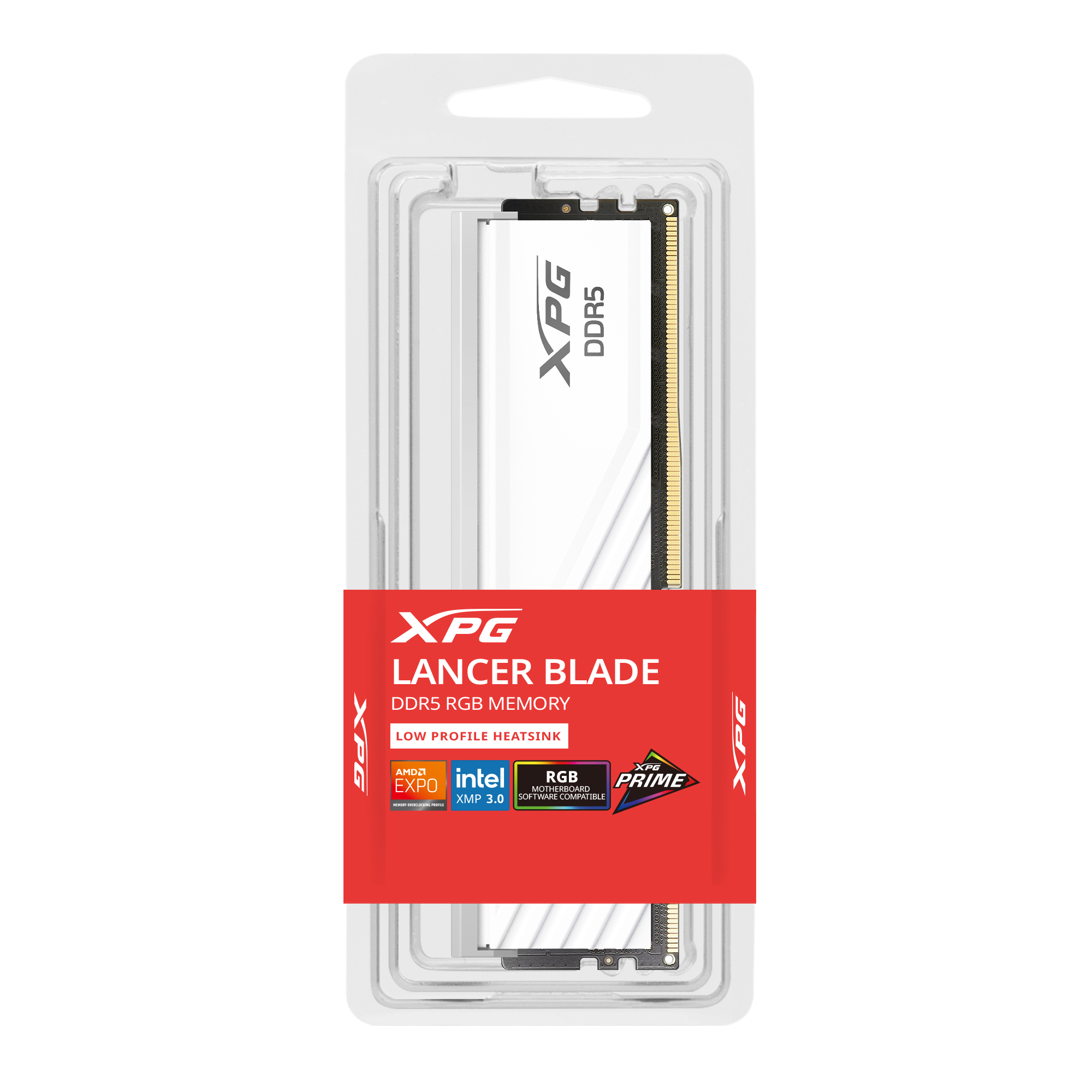 XPG 16GB DDR5 WHITE RGB 5600 AX5U5600C4616G-SLABRWH-3
