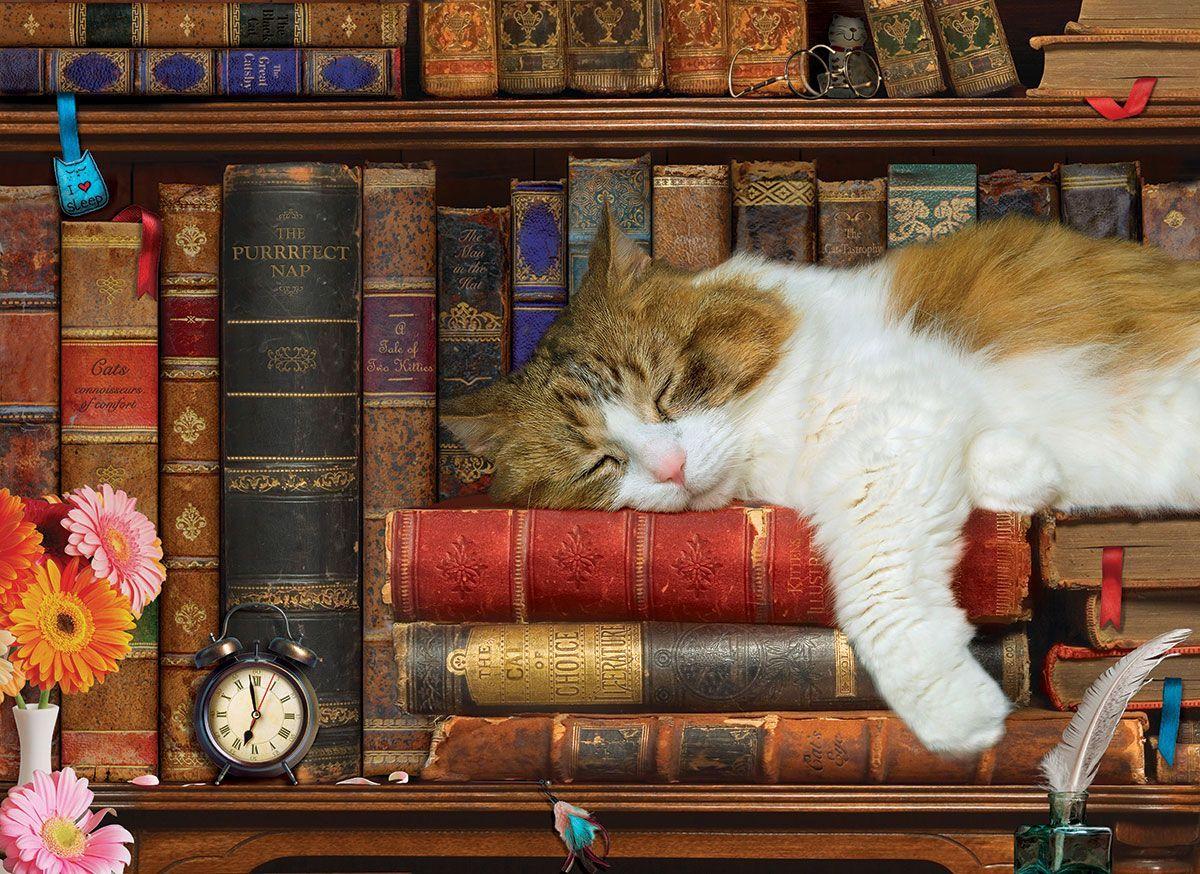 La Siesta Del Gato-2