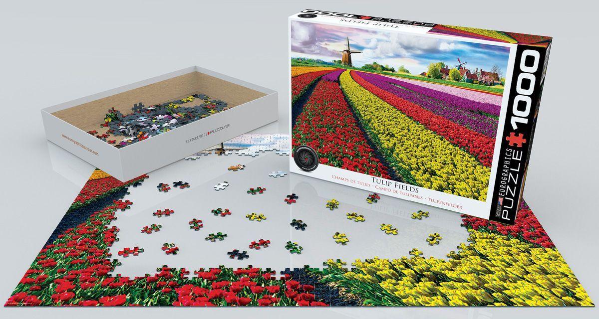 Campo De tulipanes, Holanda-2