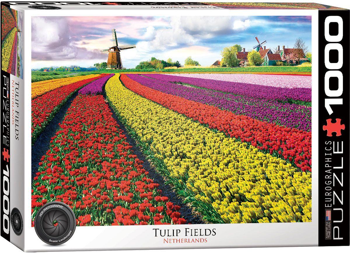 Campo De tulipanes, Holanda-0