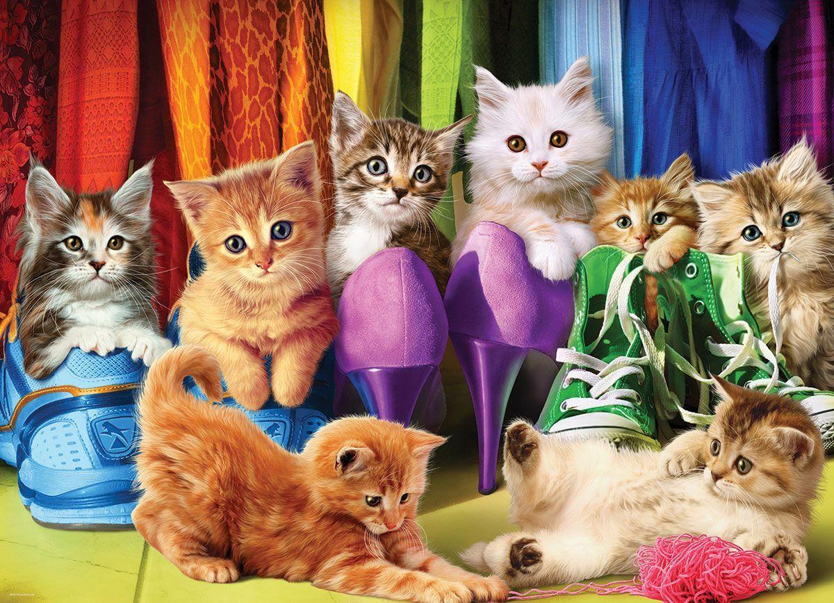 Orgullo Gatuno-2