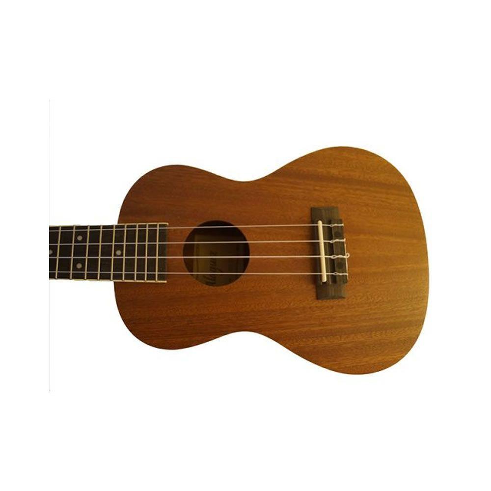 Ukelele 23″/ Funda  Alaguez-5