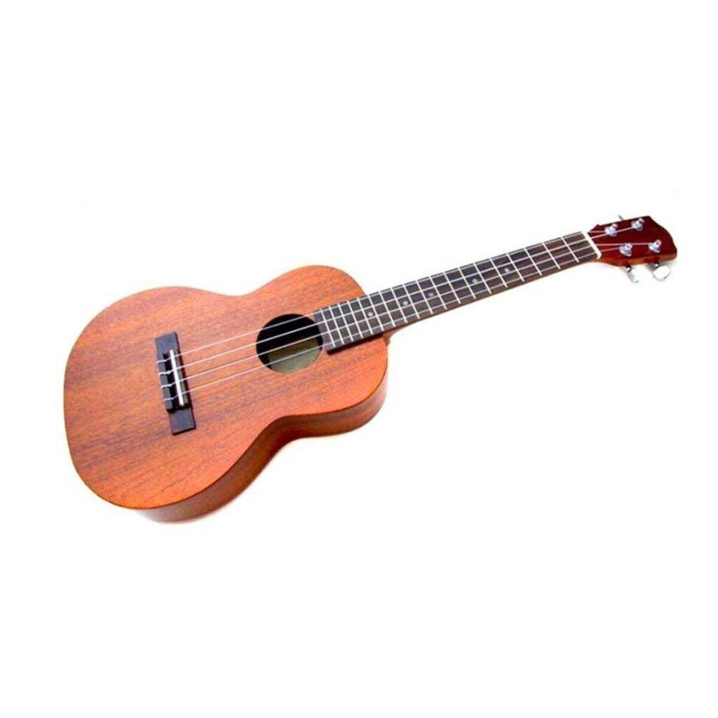 Ukelele 23″/ Funda  Alaguez-1