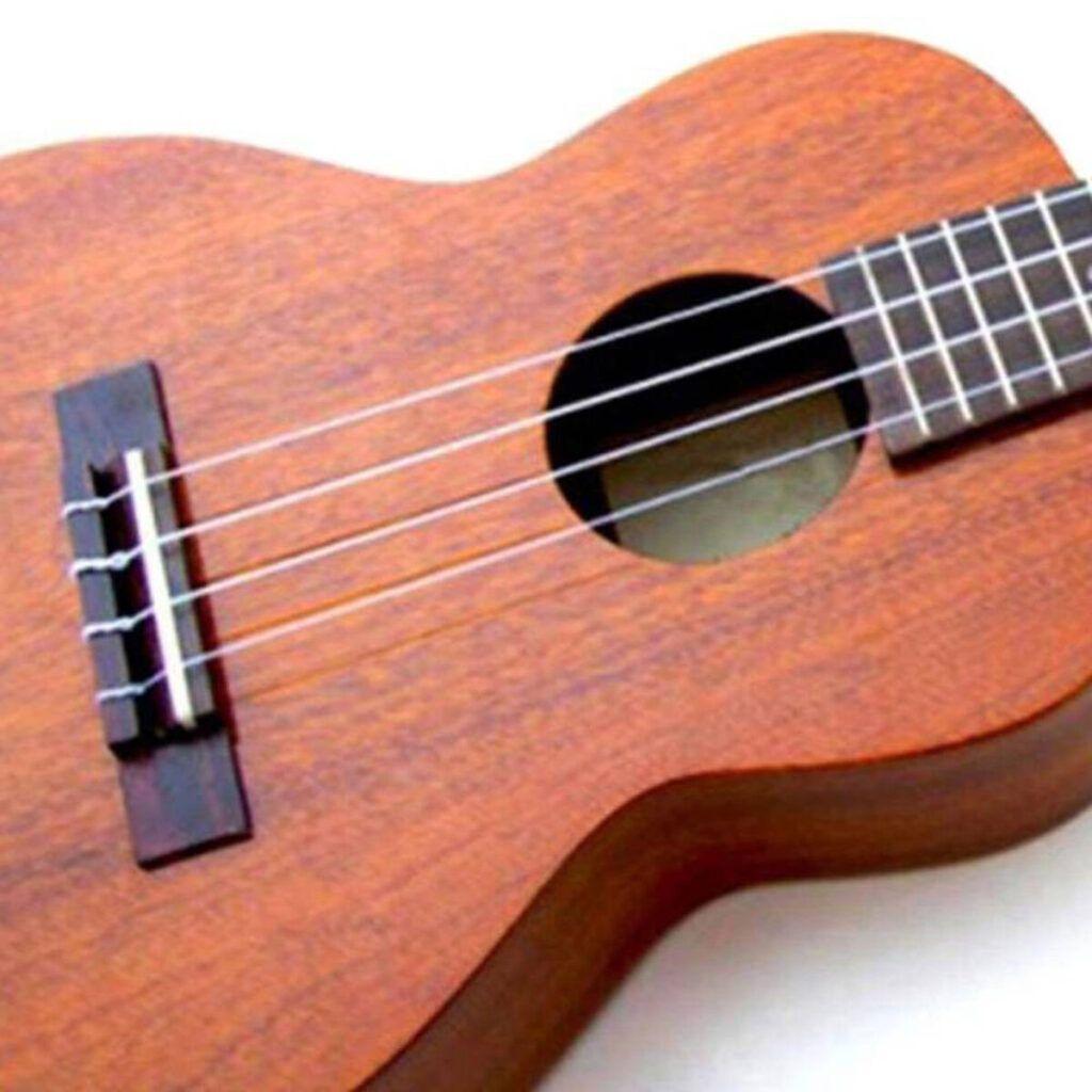 Ukelele 23″/ Funda  Alaguez-4