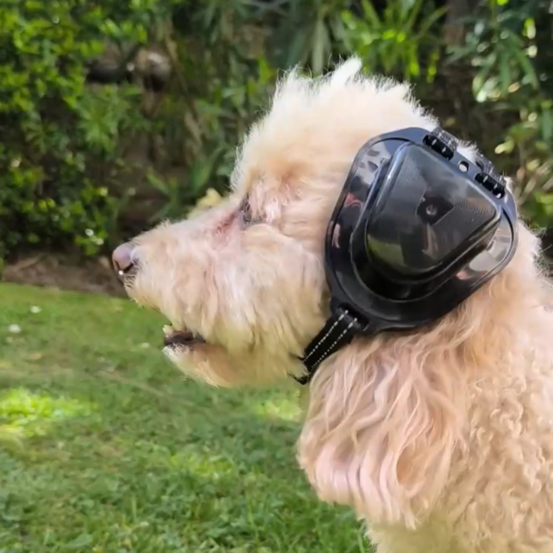 Woo Quiet Pets – Protector auditivo para mascotas (perros y gatos)-2