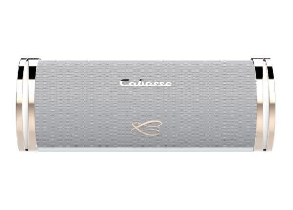 Cabasse  Swell  Parlante inalambrico bluetooth  OPEN BOX-3