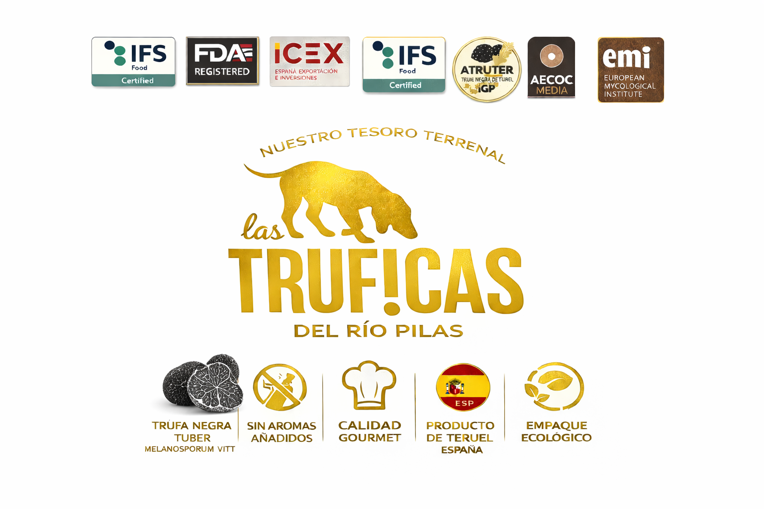 Láminas de Trufa Negra en Aceite-2