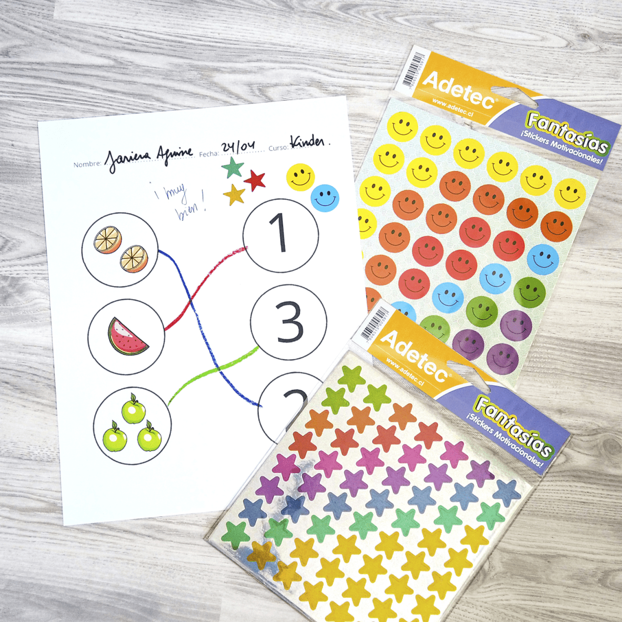 Etiquetas adhesivas Adetec Caritas 15,5 cm multicolor-2
