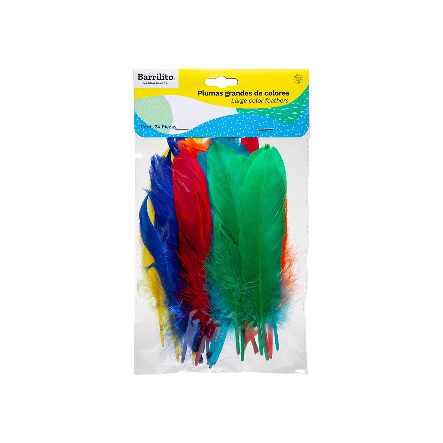 Plumas Barrilito grandes colores surtidos paquete de 24 unidades-0
