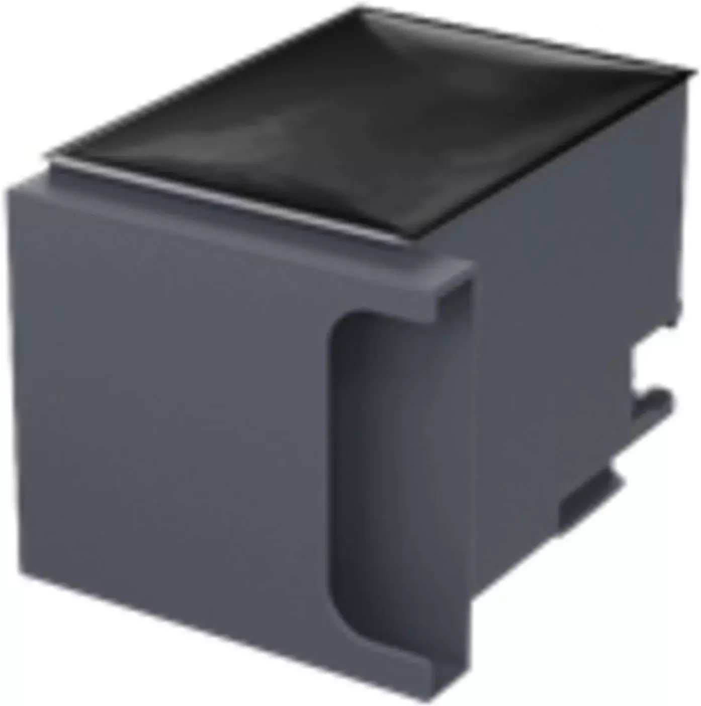 Caja de mantenimiento Epson WF-C869R para tinta-2