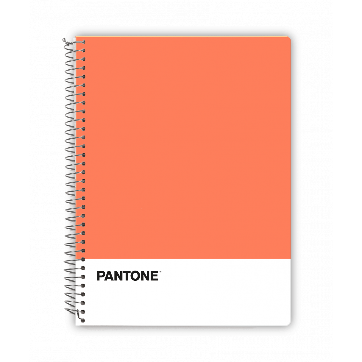 Cuaderno Pantone Trends carta M7 100 hojas-1