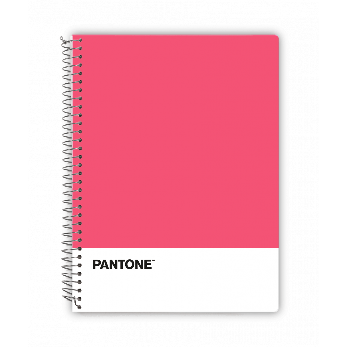 Cuaderno Pantone Trends carta M7 100 hojas-2