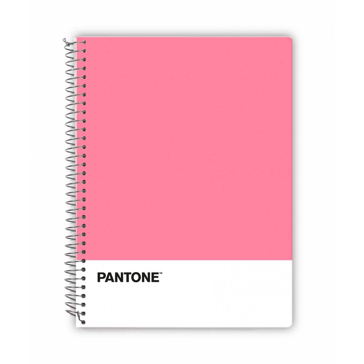 Cuaderno Pantone Trends carta M7 100 hojas-3