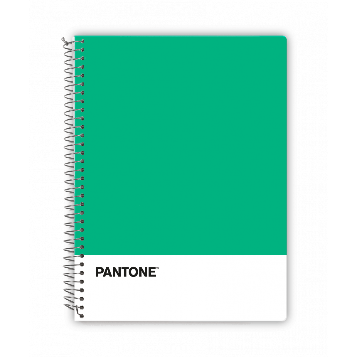 Cuaderno Pantone Trends carta M7 100 hojas-4