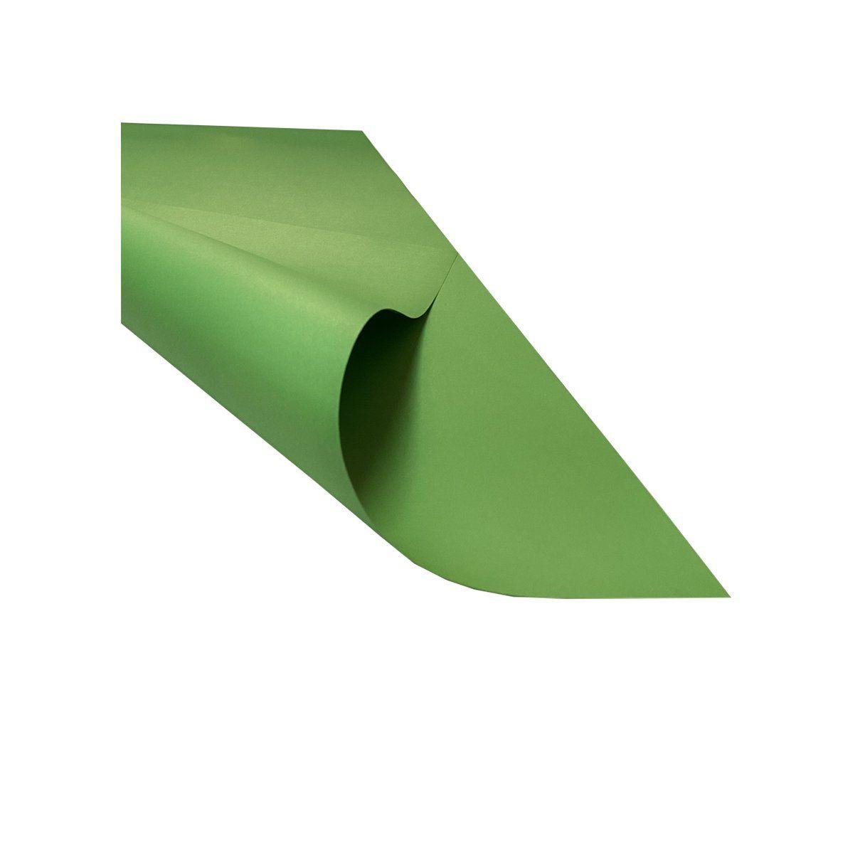 Cartulina Halley 55x77 cm 25 unidades verde claro-1