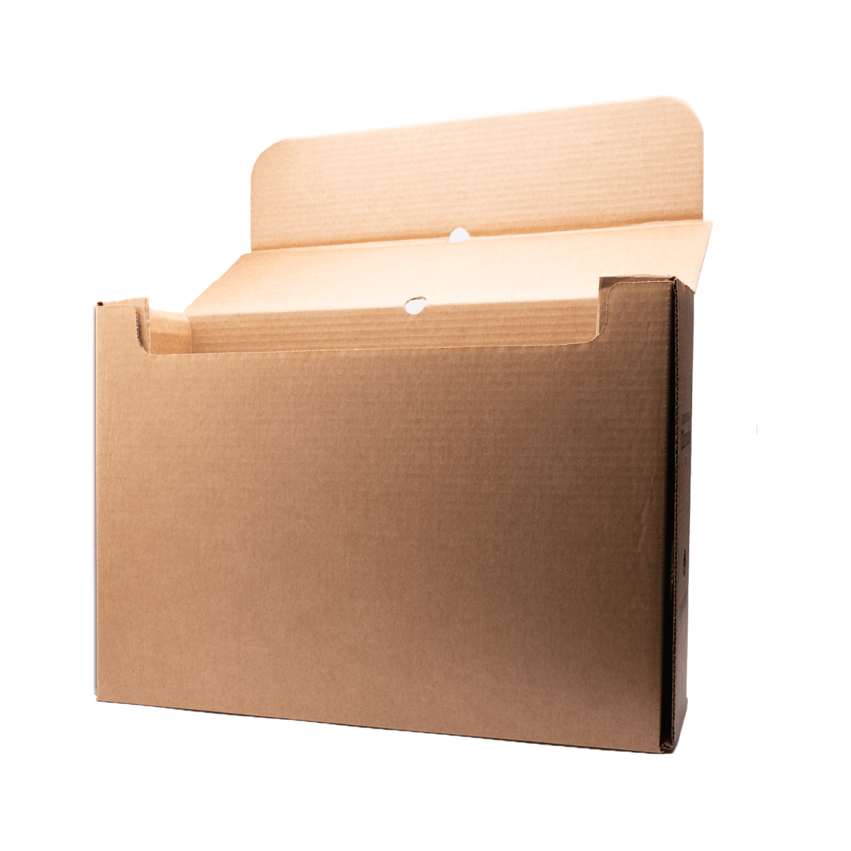 Caja de archivo Memphis Standard-3