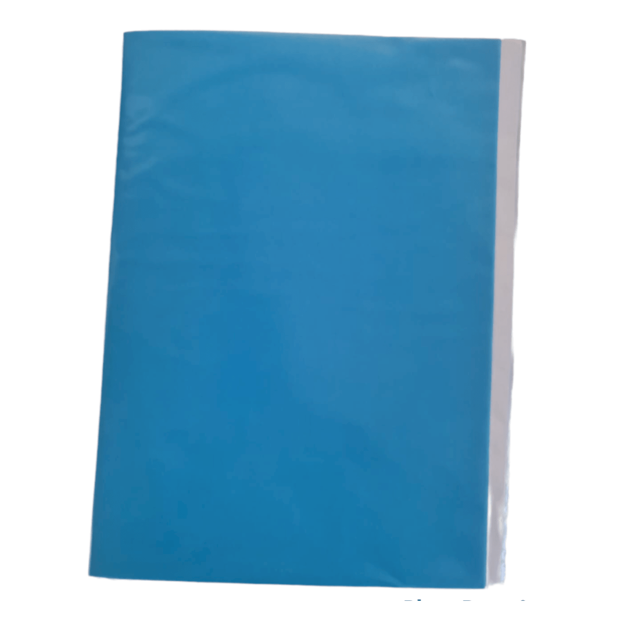 Carpeta plastificada celeste-0