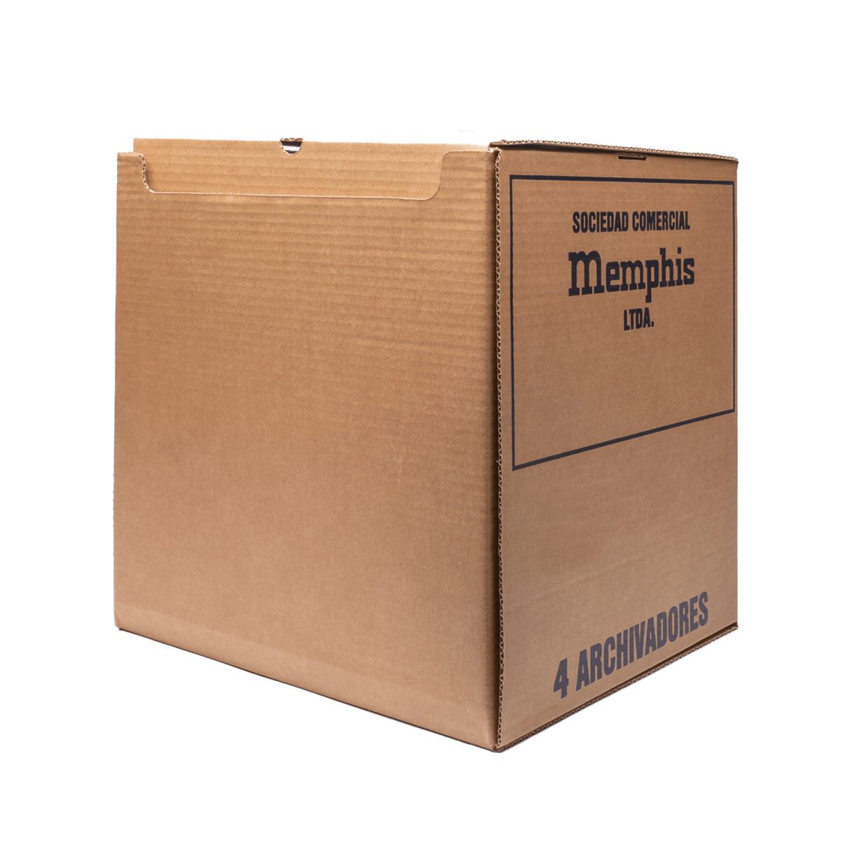 Caja de archivo Memphis 4 archivadores-3