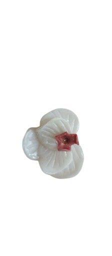 Pendientes Flor de N car-1