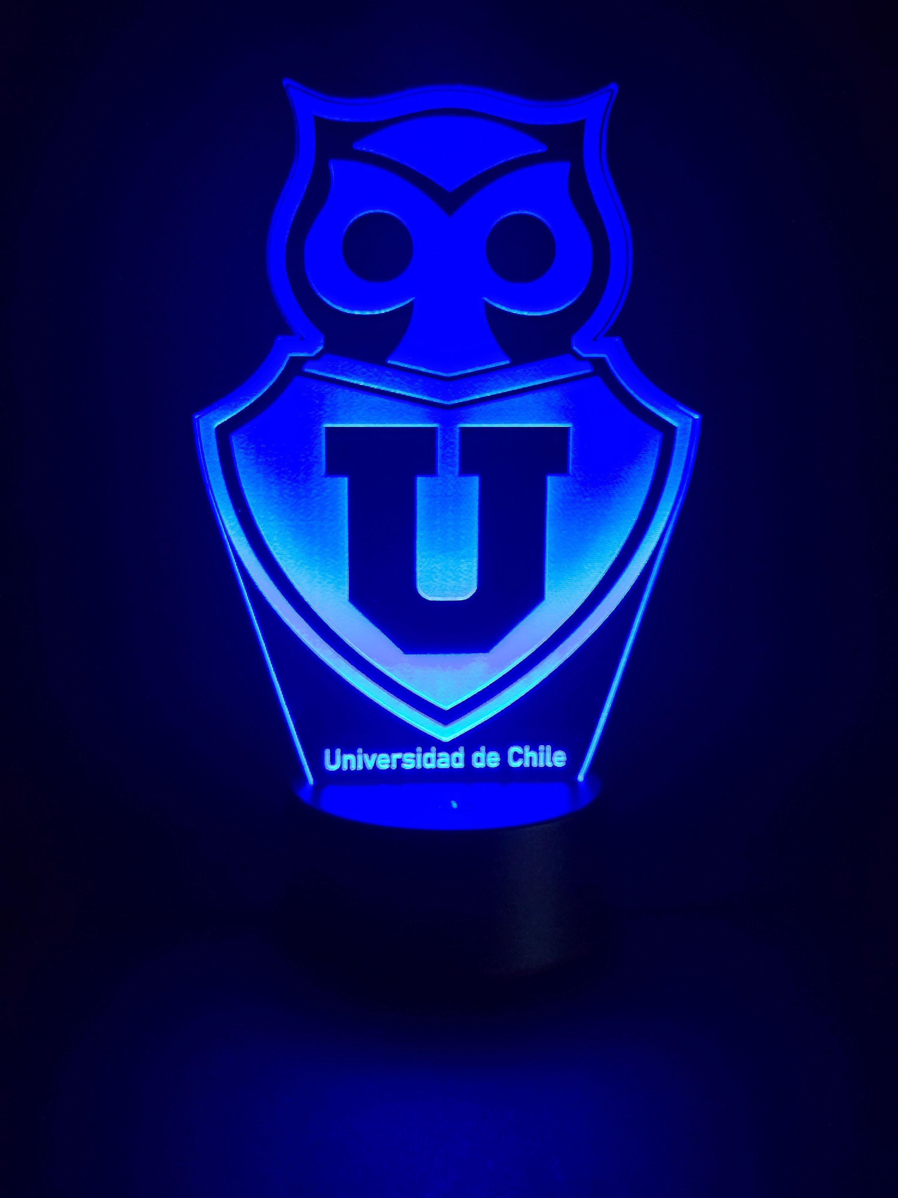 Lámpara Led Chuncho U de Chile Base Negra con Control-7