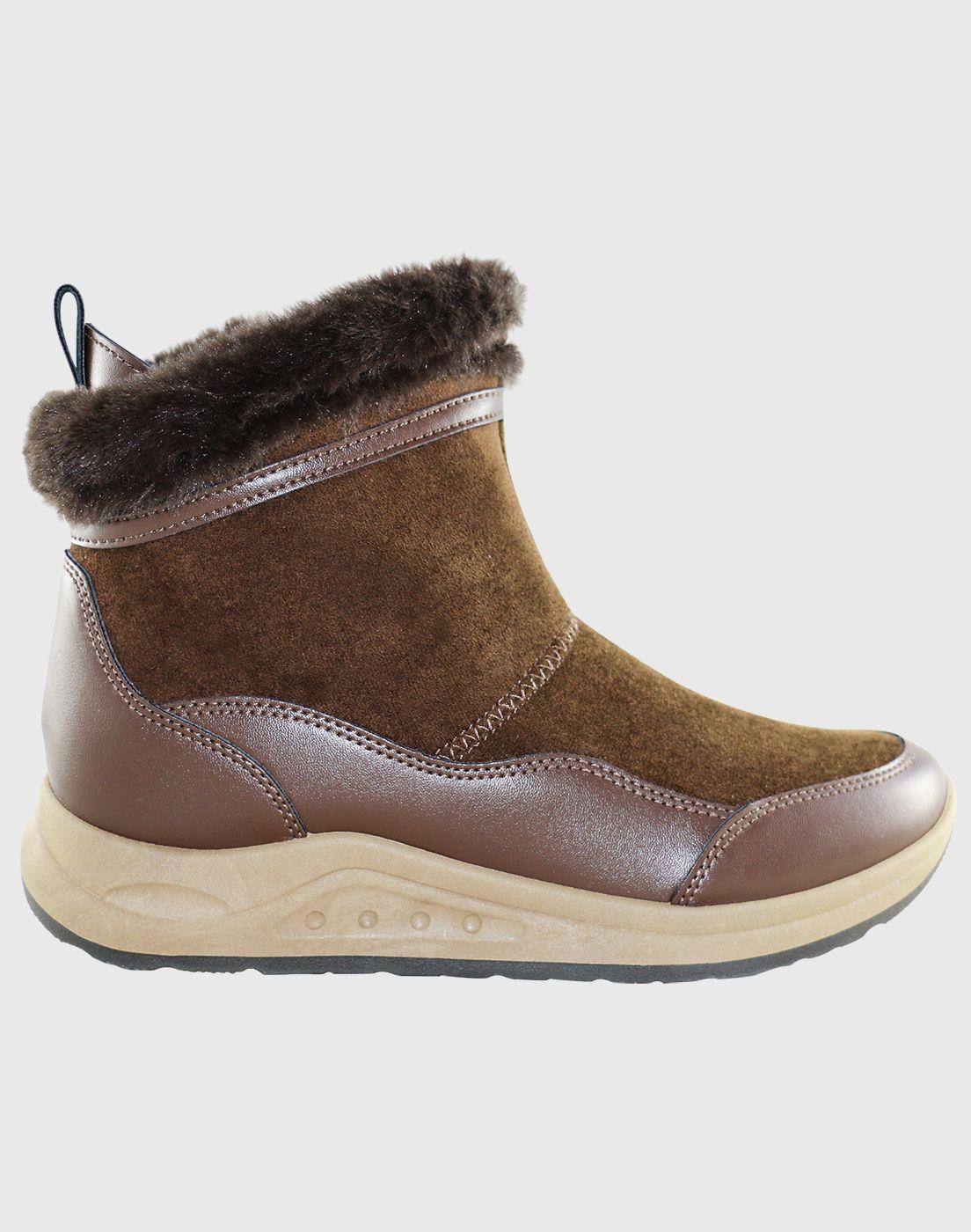Botin Basset hound Café Danicolle-1