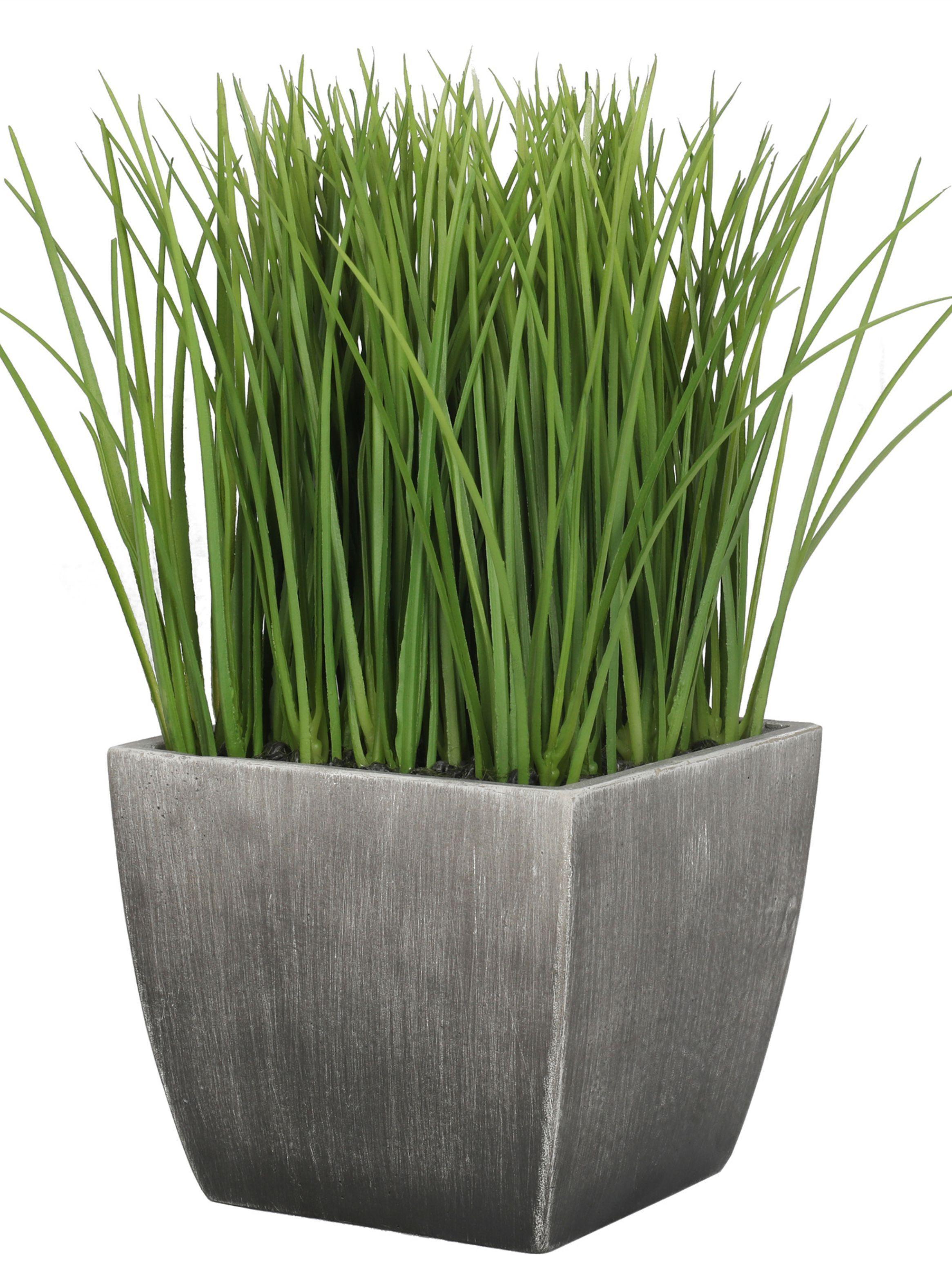 Grass Verde de 30 cm con macetero-2