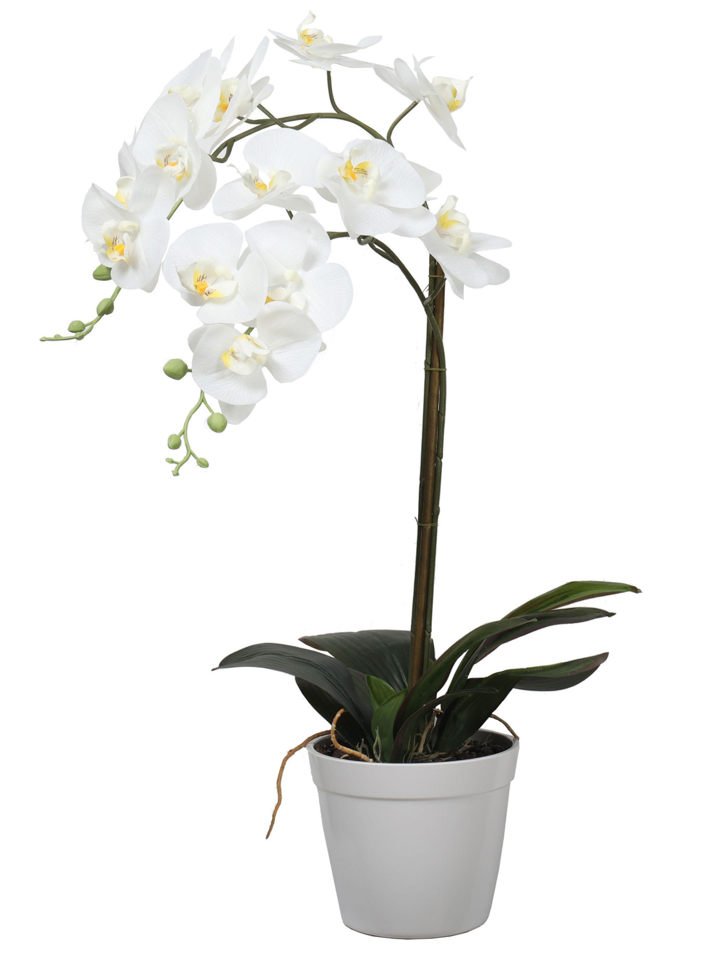 Orquídea blanca de 65 cm en macetero-2