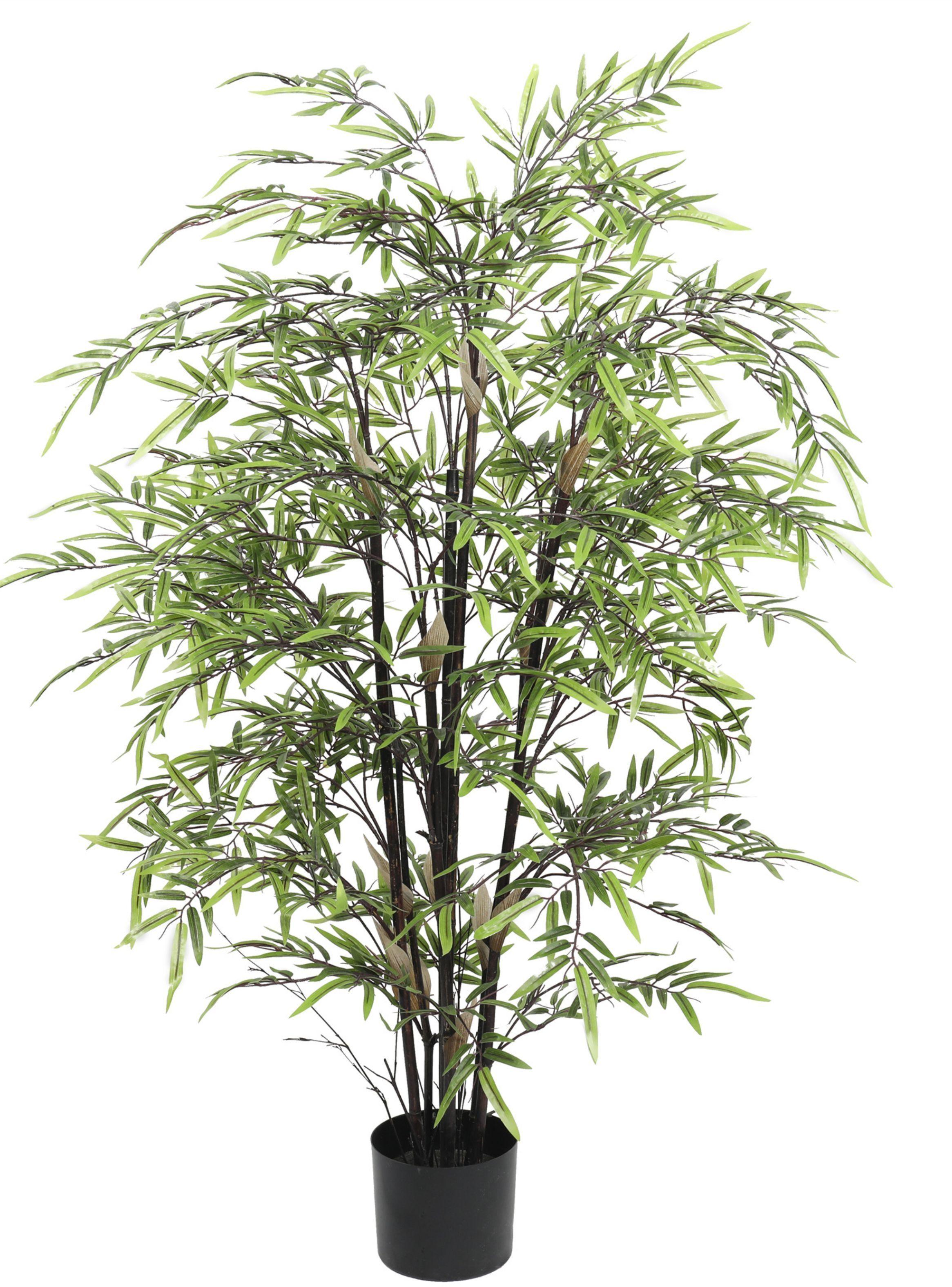 Bamboo Negro de 120 cm-0