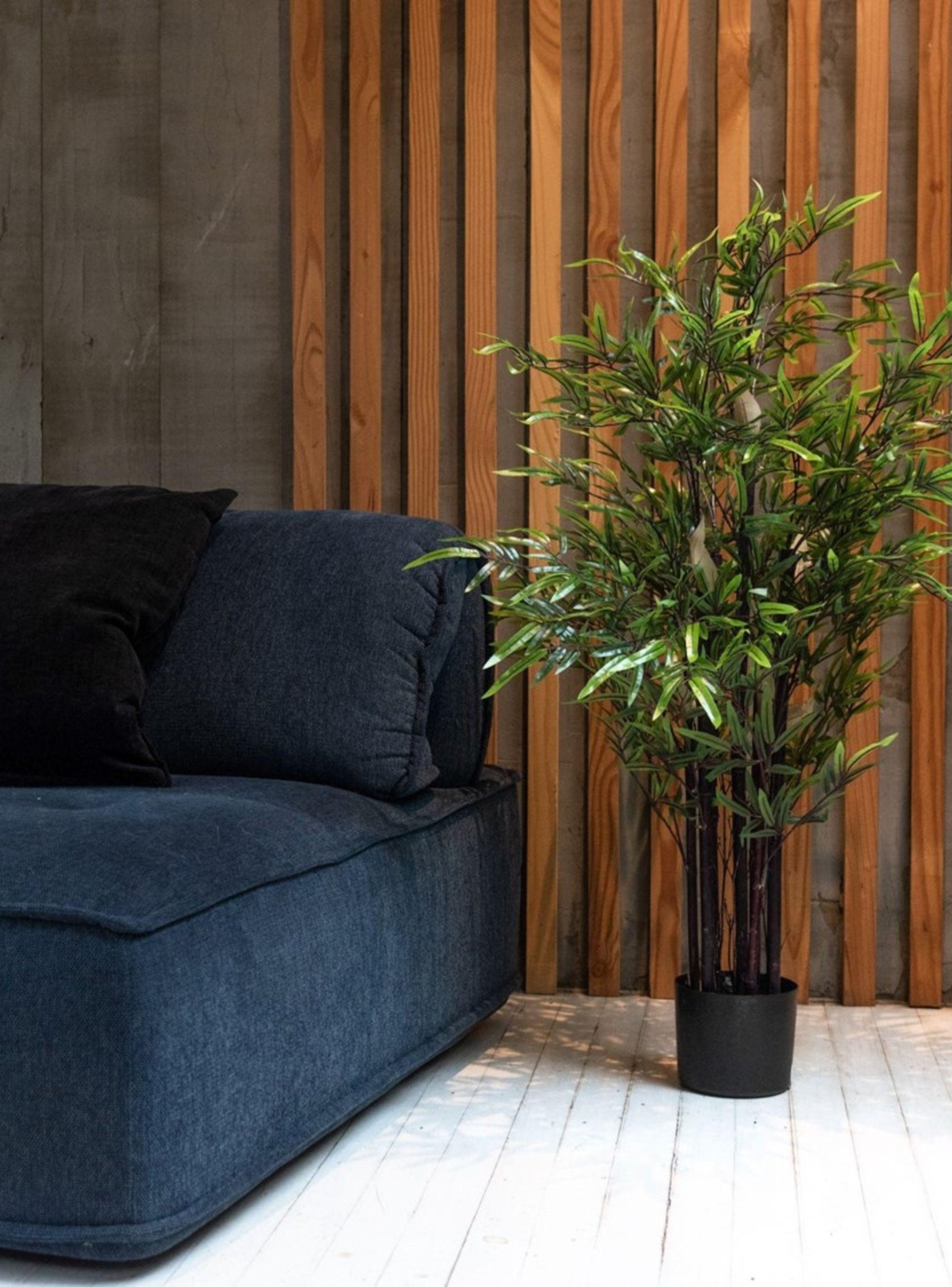 Bamboo Negro de 120 cm-1